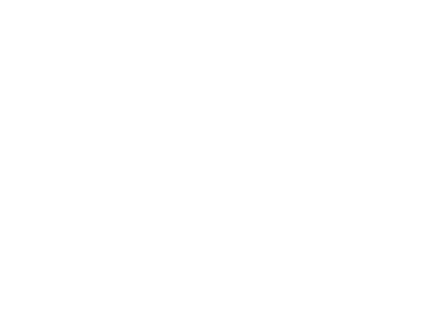 Evissi